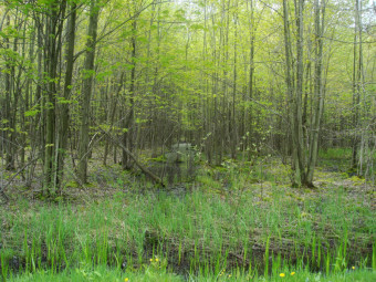 community photo